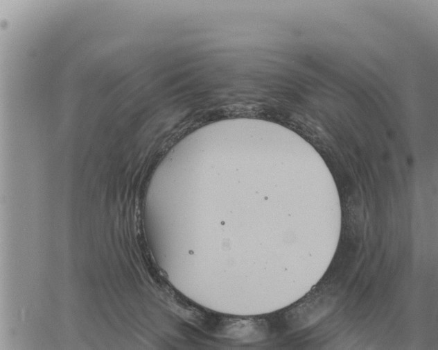 X0000061110083200512091828