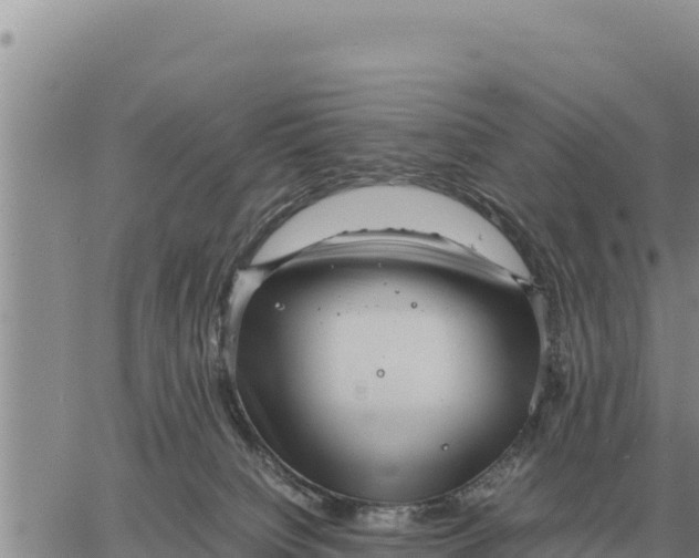 X0000061110084200512091828