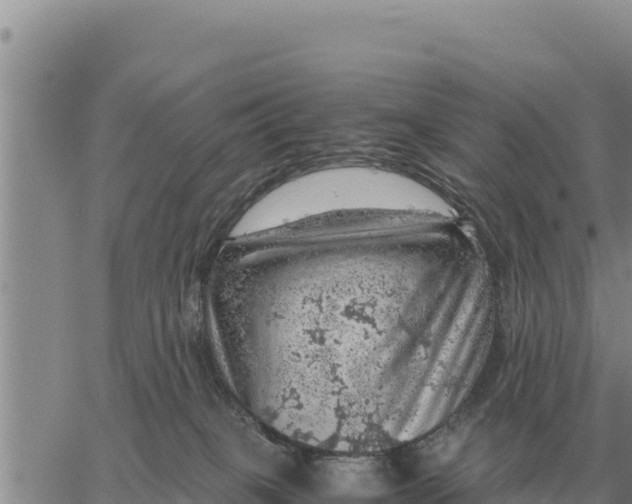 X0000061110085200512091828