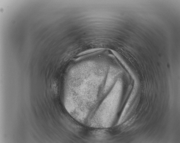 X0000061110086200512091828