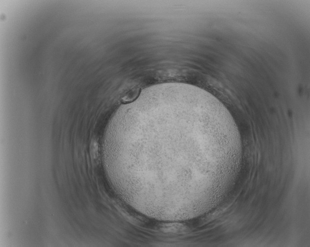 X0000061110087200512091828