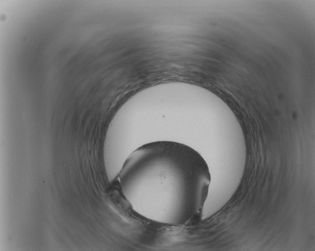 X0000061110088200512091828