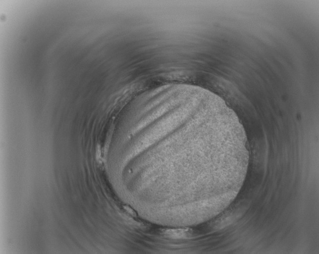 X0000061110089200512091828