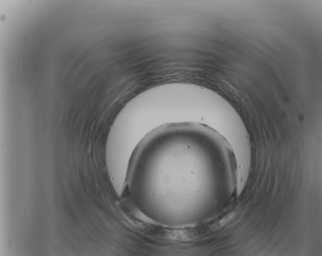 X0000061110091200512091828