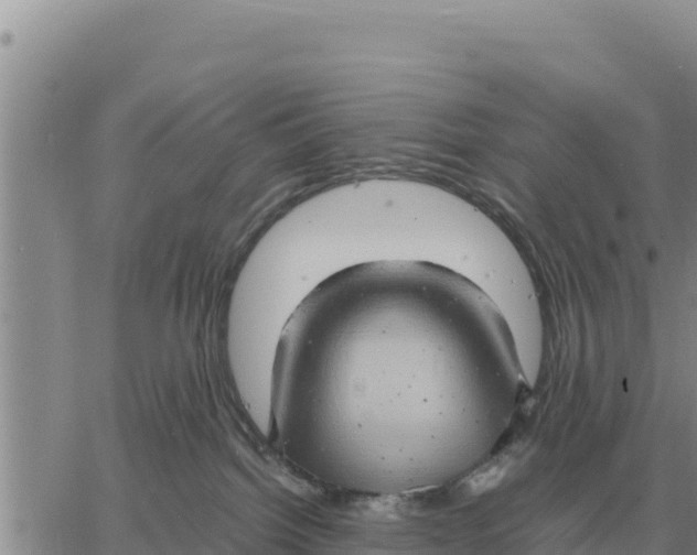 X0000061110092200512091828