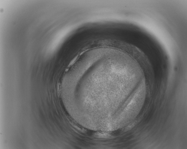 X0000061110093200512091828