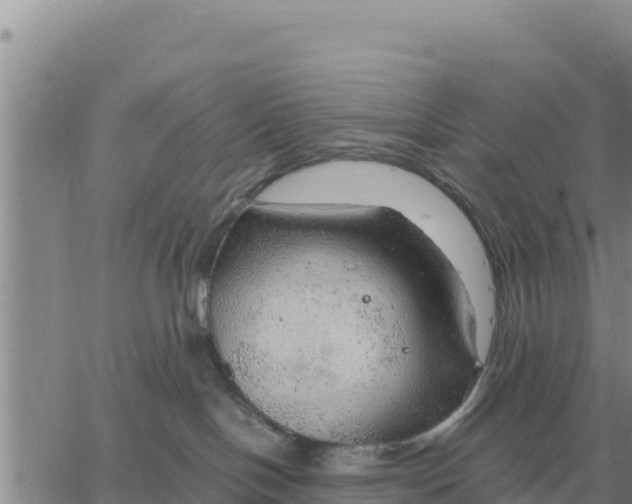 X0000061110094200512091828