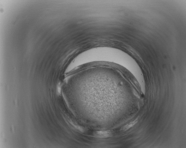 X0000061110095200512091828