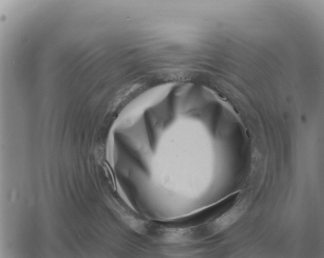 X0000061110096200512091828