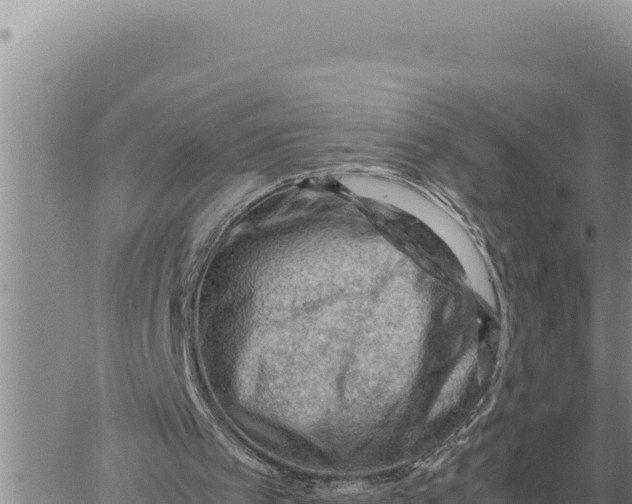 X0000061110097200512091827