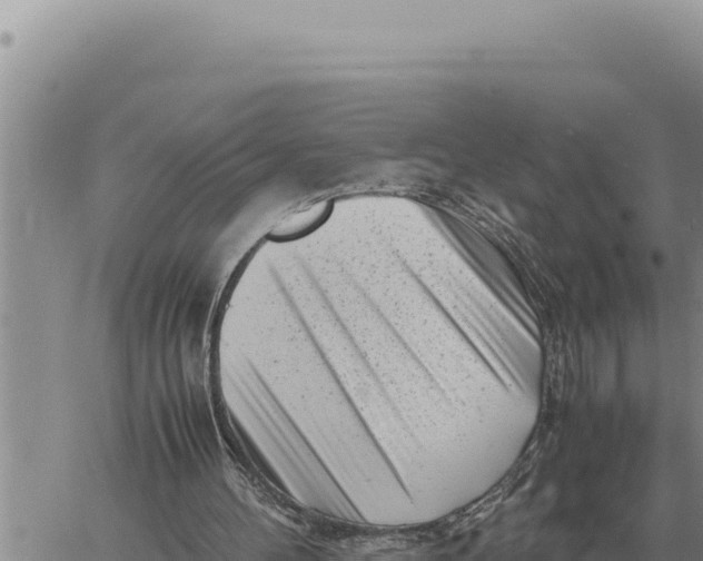 X0000061110100200512091827