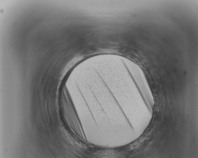 X0000061110104200512091827