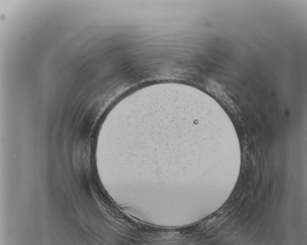 X0000061110108200512091827