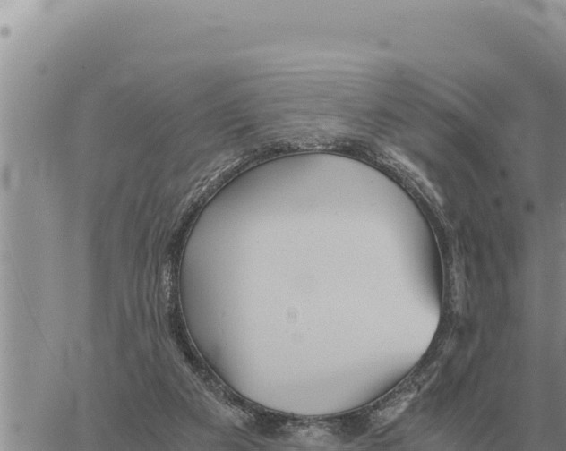 X0000061110113200512091827