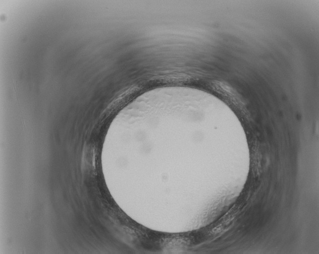 X0000061110115200512091827