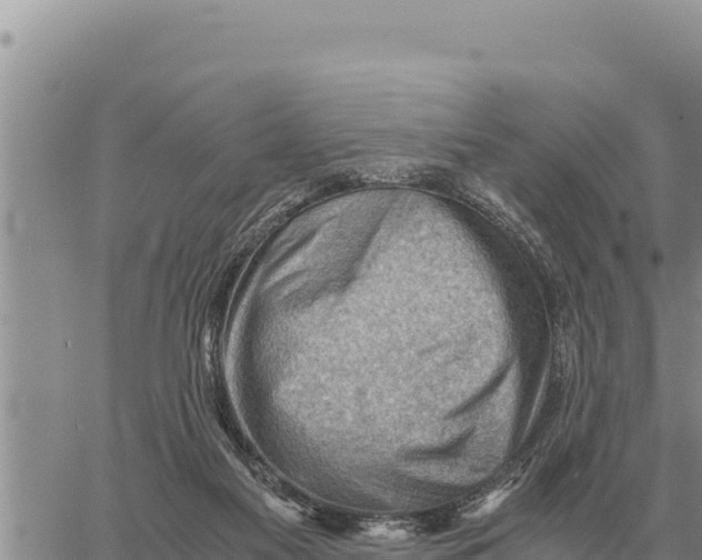 X0000061110117200512091827