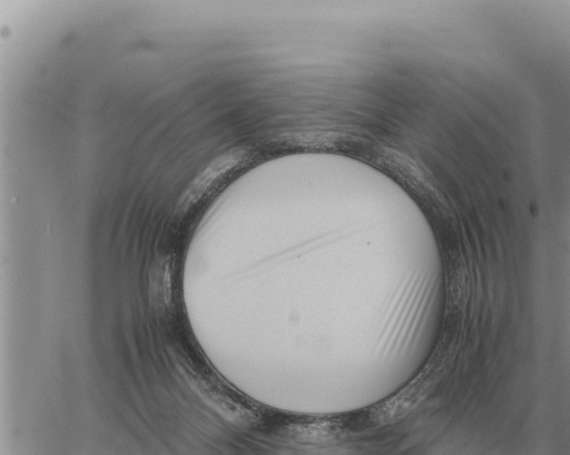 X0000061110120200512091827