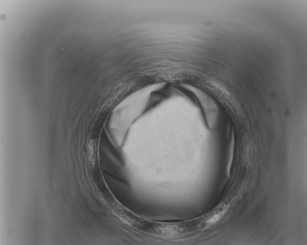 X0000061110121200512091827