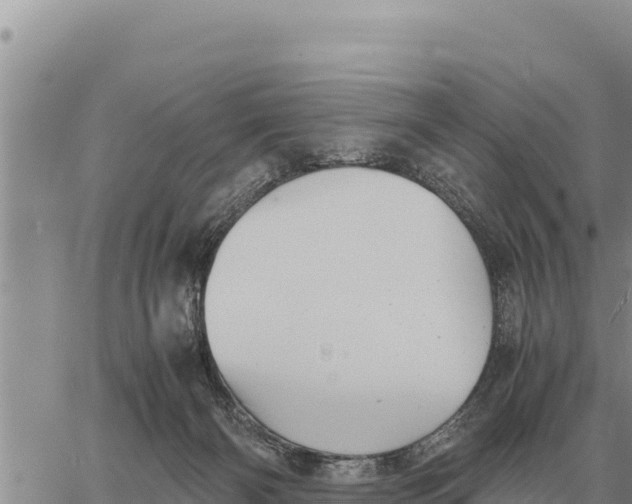 X0000061110126200512091827