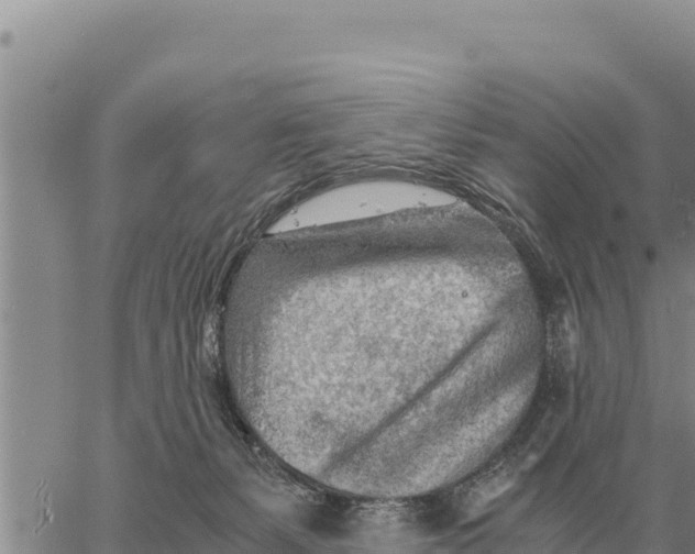 X0000061110127200512091827