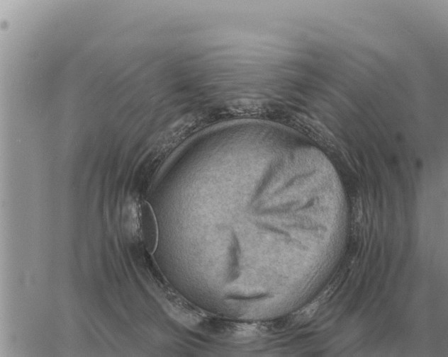 X0000061110130200512091827