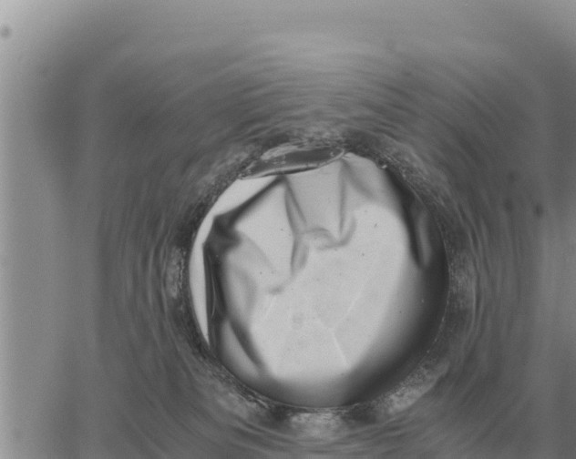 X0000061110133200512091827