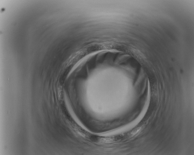 X0000061110139200512091827