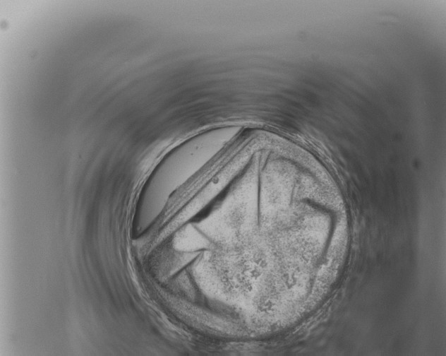 X0000061110145200512091826