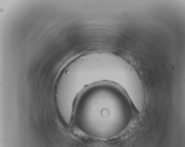 X0000061110146200512091826