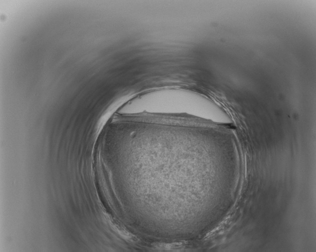 X0000061110147200512091826