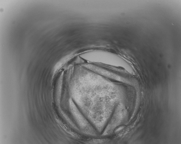 X0000061110149200512091826