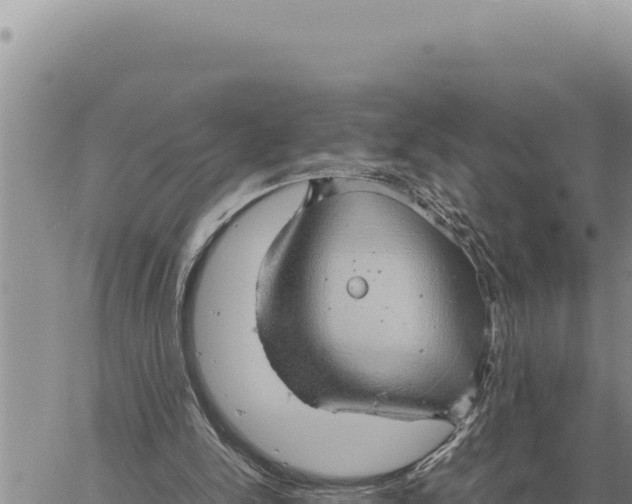 X0000061110150200512091826