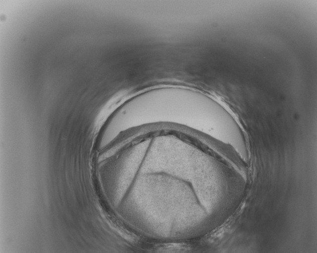 X0000061110151200512091826