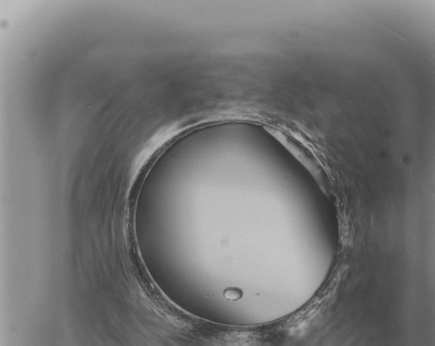 X0000061110152200512091826