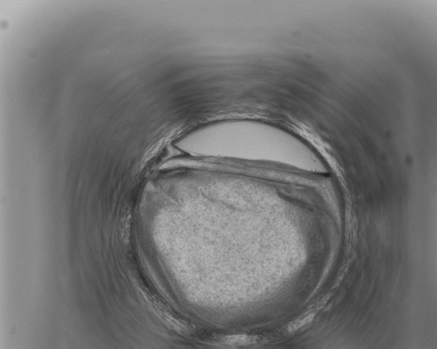 X0000061110153200512091826