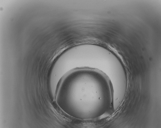 X0000061110154200512091826