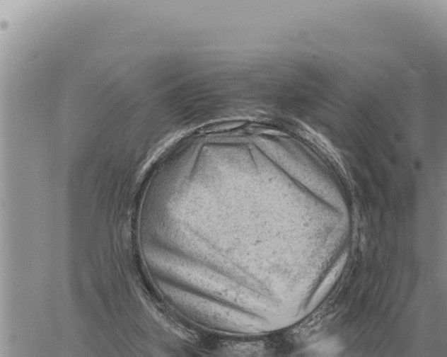 X0000061110155200512091826