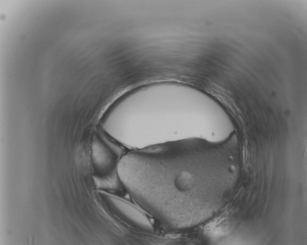 X0000061110156200512091826