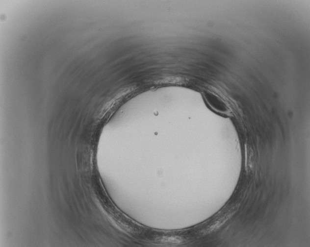 X0000061110157200512091826