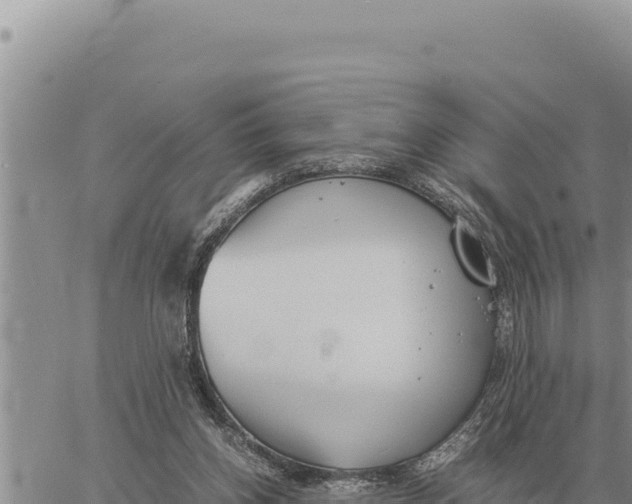 X0000061110158200512091826