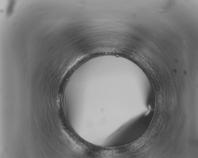 X0000061110160200512091826