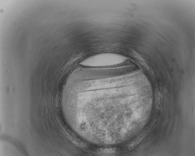 X0000061110161200512091826