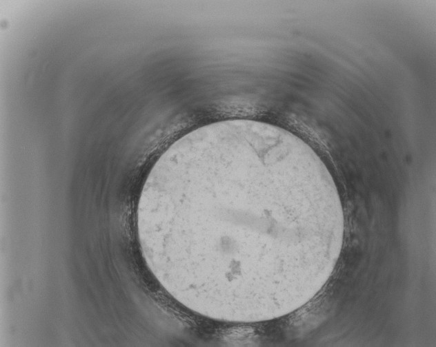 X0000061110162200512091826