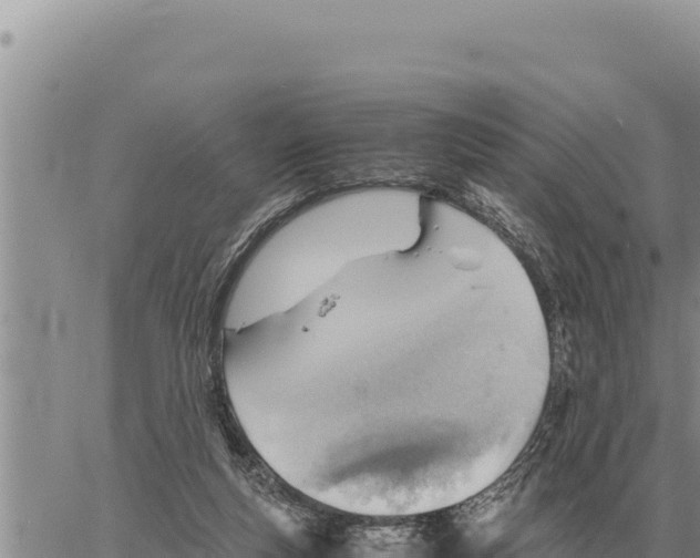 X0000061110163200512091826