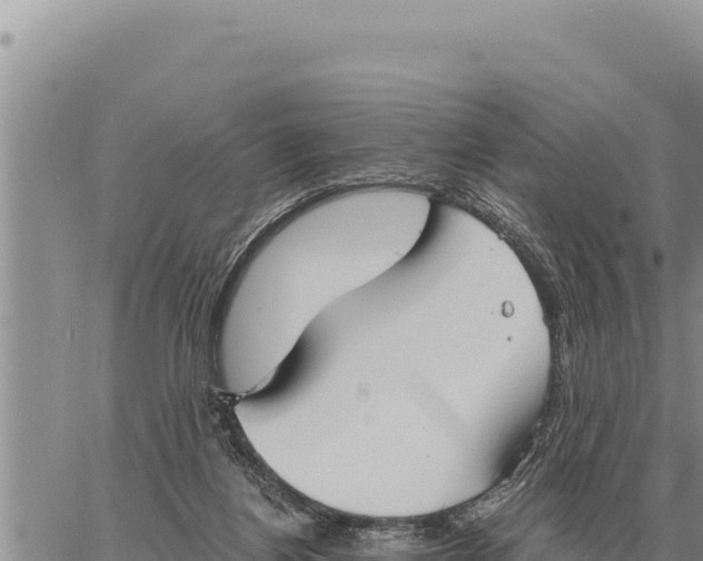 X0000061110164200512091826