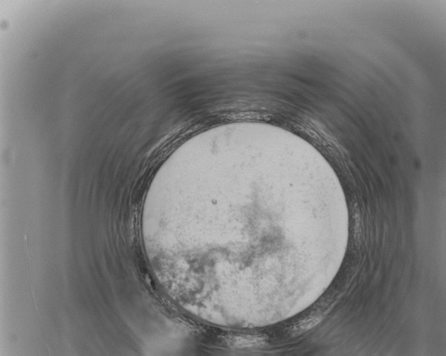 X0000061110165200512091826