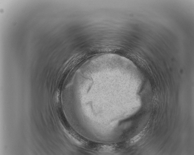 X0000061110166200512091826