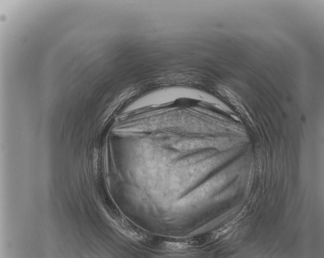 X0000061110167200512091826