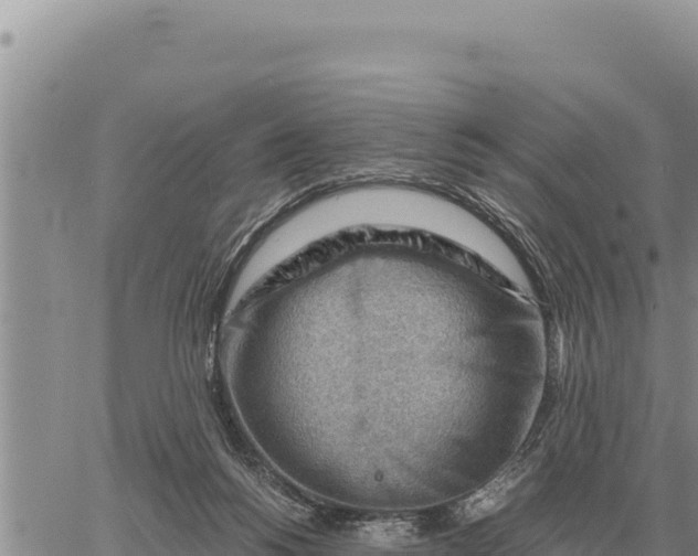 X0000061110168200512091826