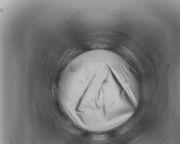 X0000061110169200512091826